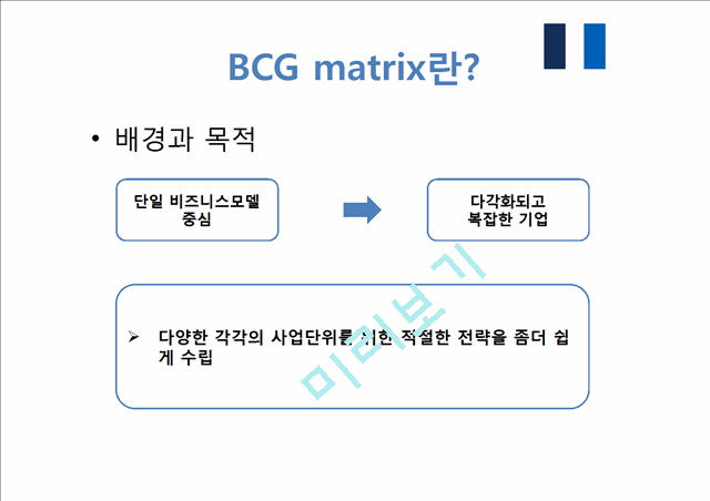 BCG & GE matrix   (3 )